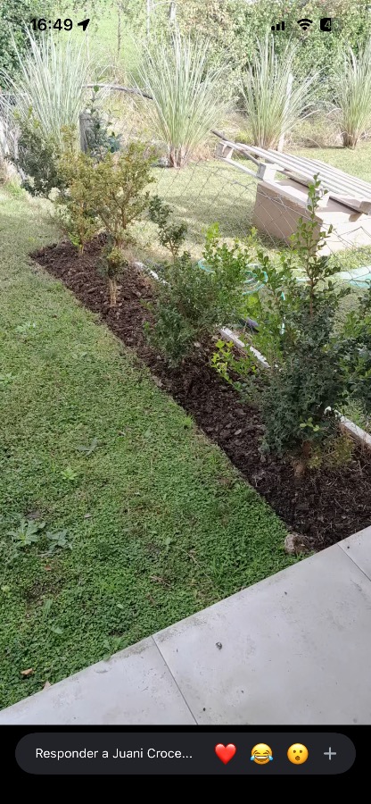 Trabajo realizado