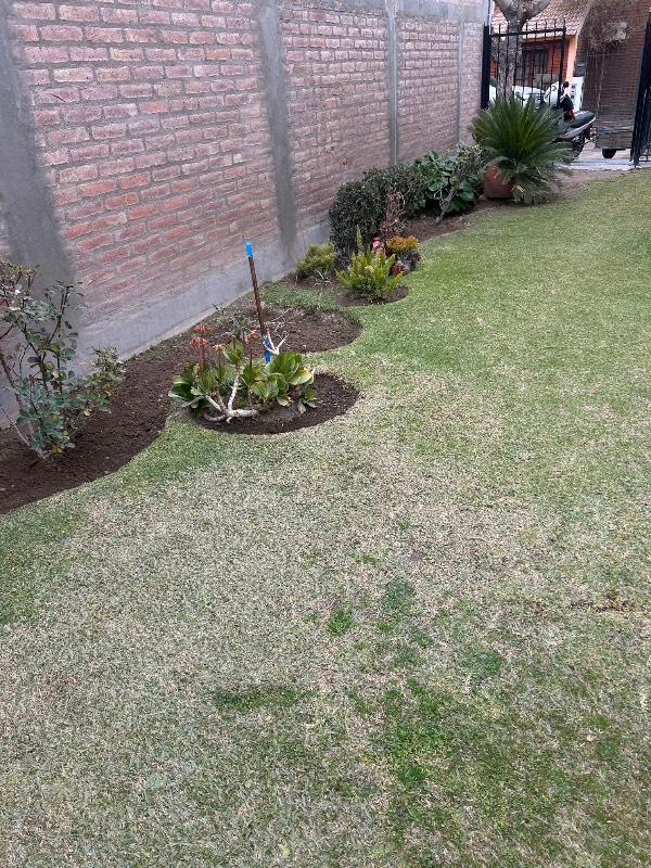 Trabajo realizado