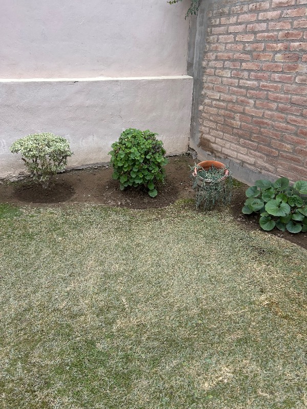 Trabajo realizado